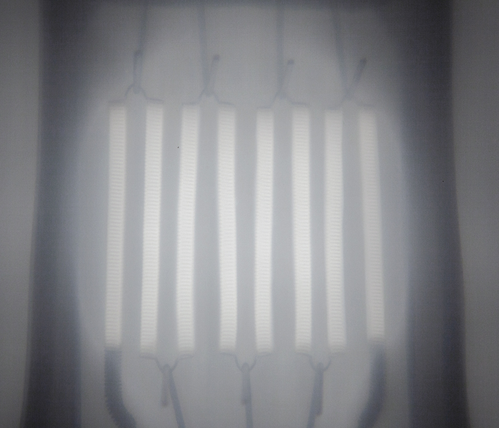 Chromosomes – FRAC Dunkerque